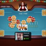 Effective information about the Teen Patti Game